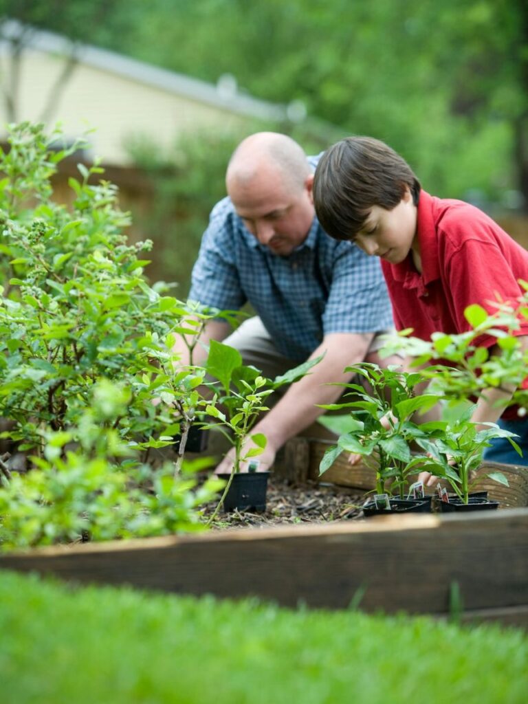 A father and son work on the garden together, selecting which plants to weed out and which to continue nurturing.