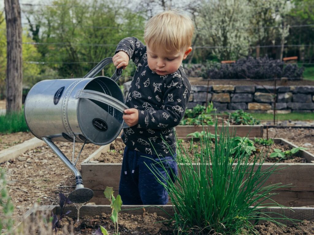 A toddler uses an old-fashioned metal watering can to water the plants